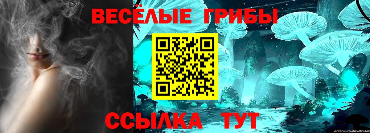 Елец  Галлюциногенные грибы Cubensis  Вход с VPN 